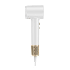 A Photo Of Laifen Hair Dryer 1400W Swift Premium