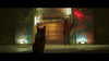 A Photo Of Stray for Nintendo Switch