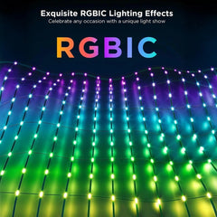 A Photo Of Govee Net Lights - H6810