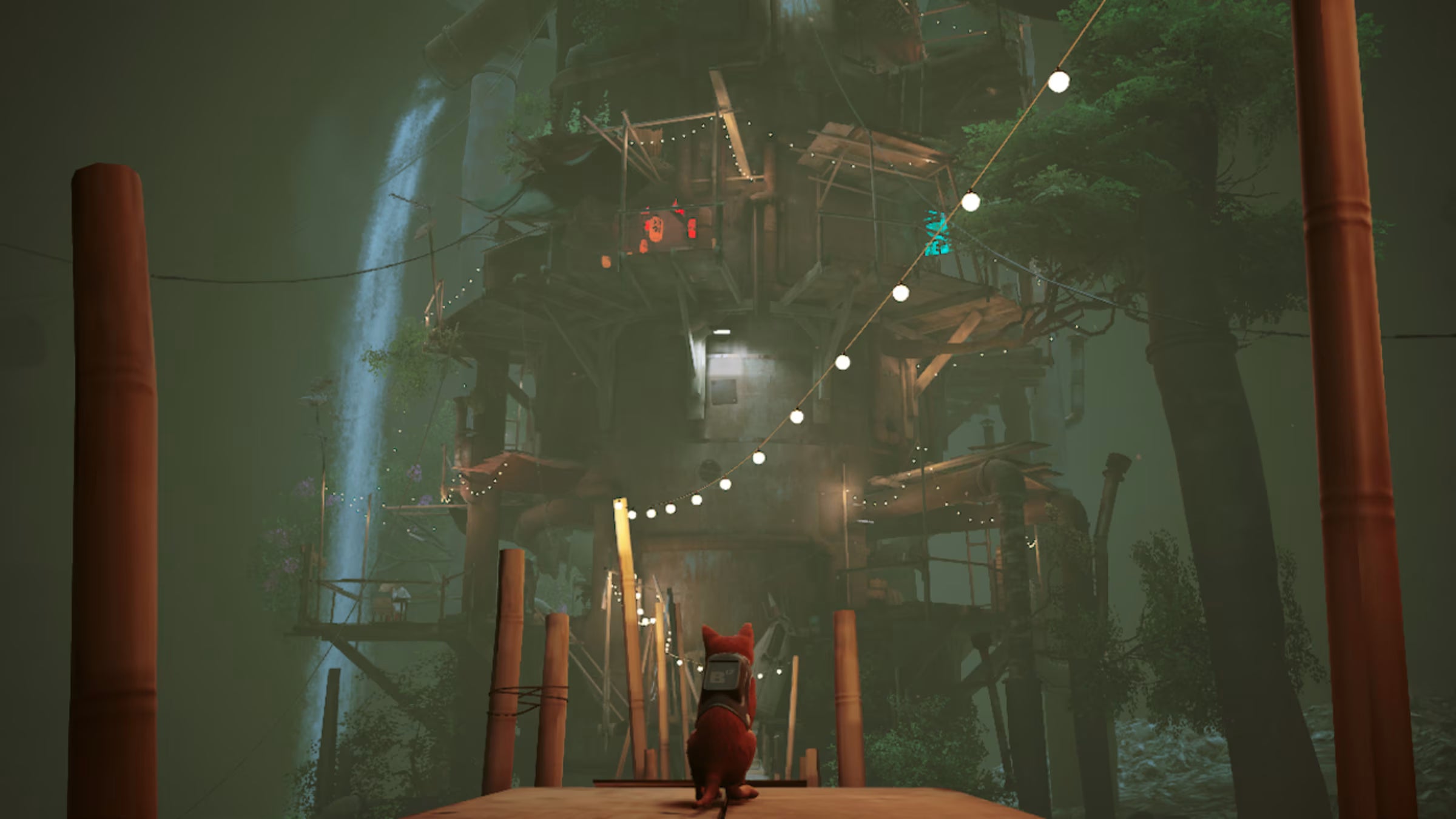 A Photo Of Stray for Nintendo Switch