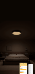 A Photo Of Xiaomi Smart Ceiling Light D30