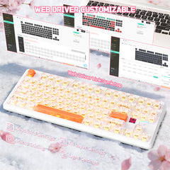 A Photo Of ATTACK SHARK X87 Ultra - Wireless Mechanical Keyboard
