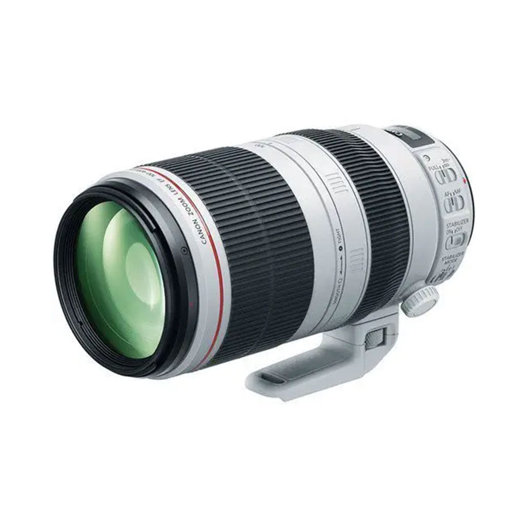 A Photo Of Canon EF 100-400mm f/4.5-5.6L IS II - USM Lens
