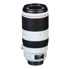 A Photo Of Canon EF 100-400mm f/4.5-5.6L IS II - USM Lens