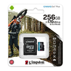 A Photo Of Kingston Canvas Go! Plus 256GB microSD Memory Card