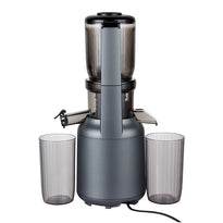 Green Lion Slow Juicer Pure Copper Motor - GNSLJUCRBK