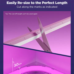 A Photo Of Govee Neon Rope Lights for Wall Lining – 5m | Smart LED Ambient Lighting