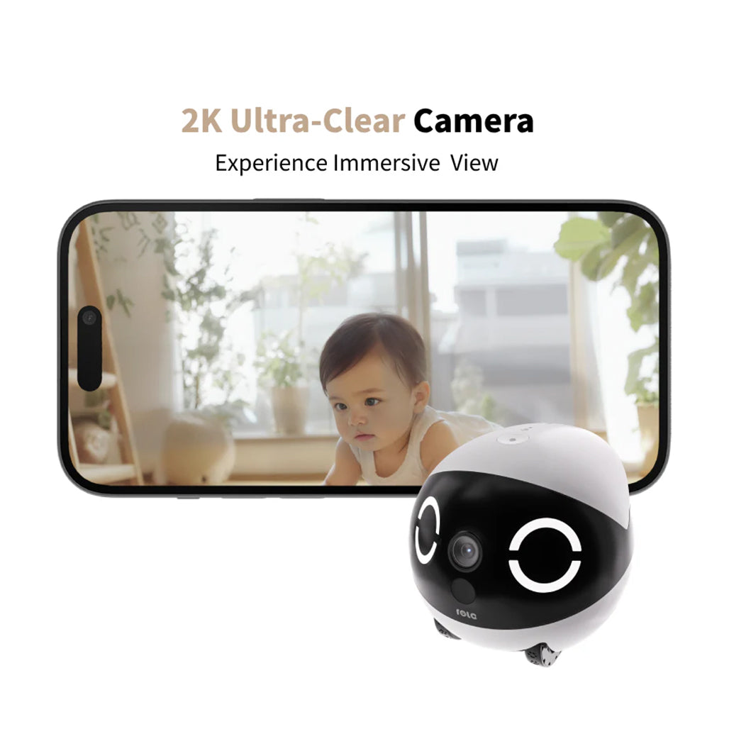 A Photo Of Enabot ROLA Mini Companion Robot