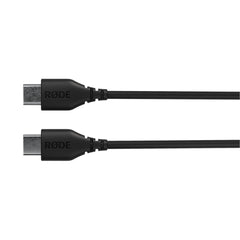 A Photo Of Rode SC22 - 30cm USB-C to USB-C Cable