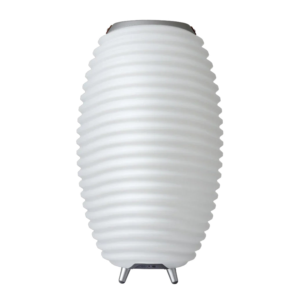 A Photo Of Kooduu Synergy 65 - Portable LED Lamp with Bluetooth Speaker & Wine Cooler