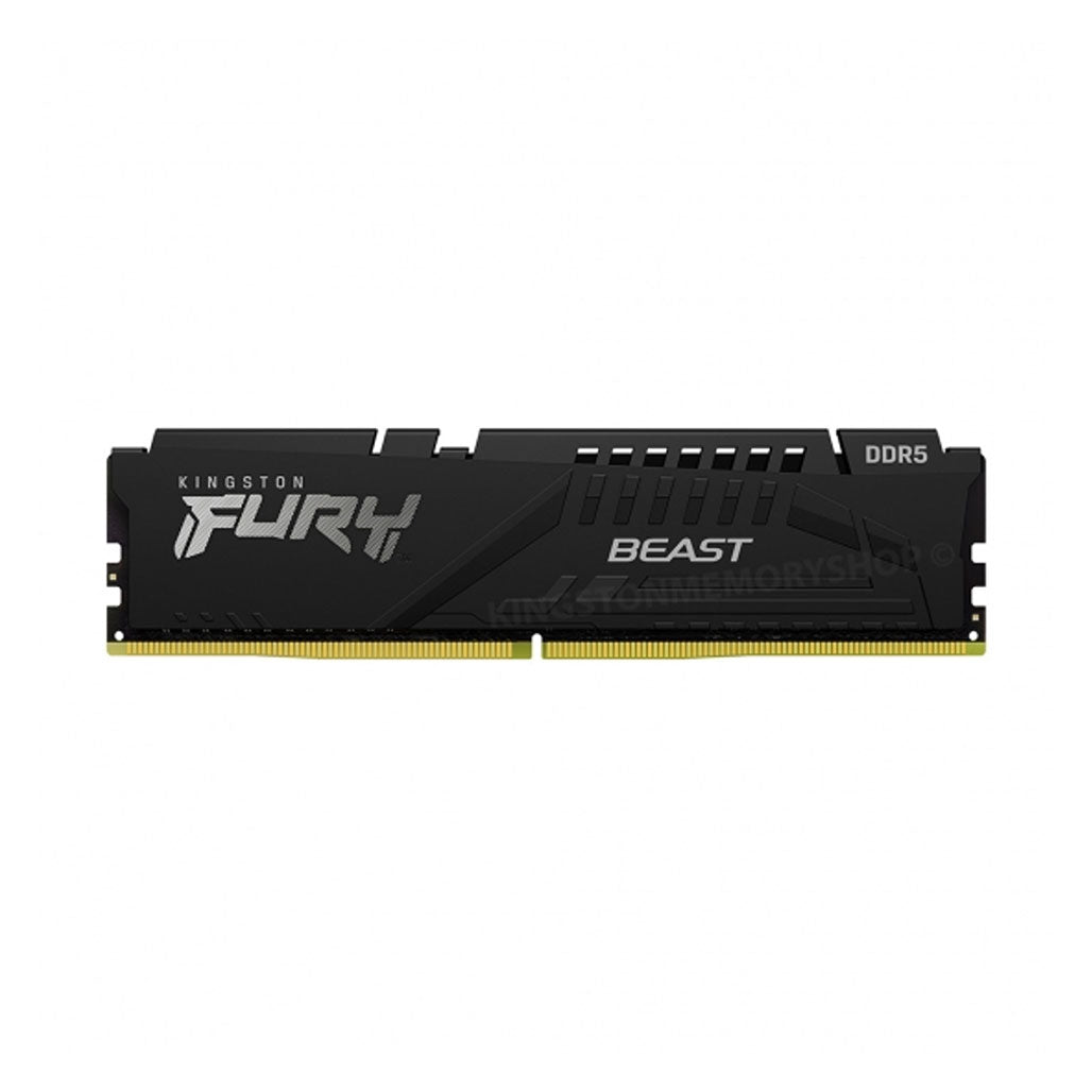 A Photo Of Kingston FURY Beast DDR5 5600MHz