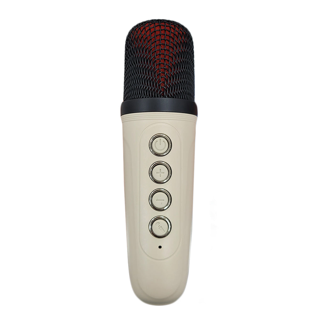 A Photo Of Green Lion Duet Echo Karaoke Speaker - Bluetooth 5.3, 10W Output | GNDUECH10WBG