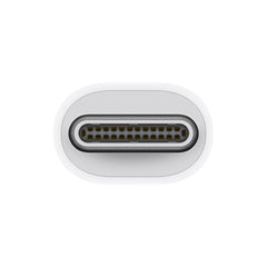 A Photo Of Apple Thunderbolt 3 Male to Thunderbolt 2 Female Adapter