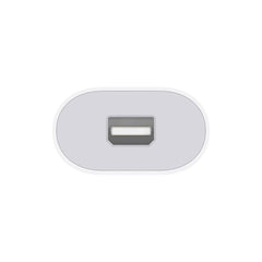 A Photo Of Apple Thunderbolt 3 Male to Thunderbolt 2 Female Adapter