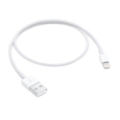 A Photo Of Apple Lightning to USB Cable (0.5 m)
