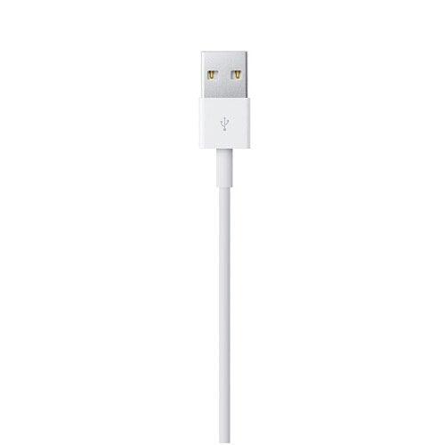 A Photo Of Apple Lightning to USB Cable (0.5 m)