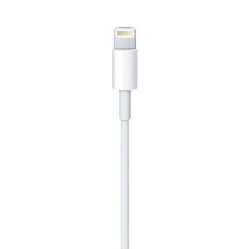 A Photo Of Apple Lightning to USB Cable (0.5 m)