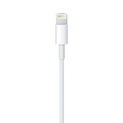 A Photo Of Apple Lightning to USB Cable (0.5 m)