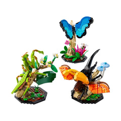 A Photo Of LEGO Ideas The Insect Collection 1111 Pieces - 21342
