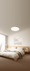 A Photo Of Xiaomi Smart Ceiling Light D30