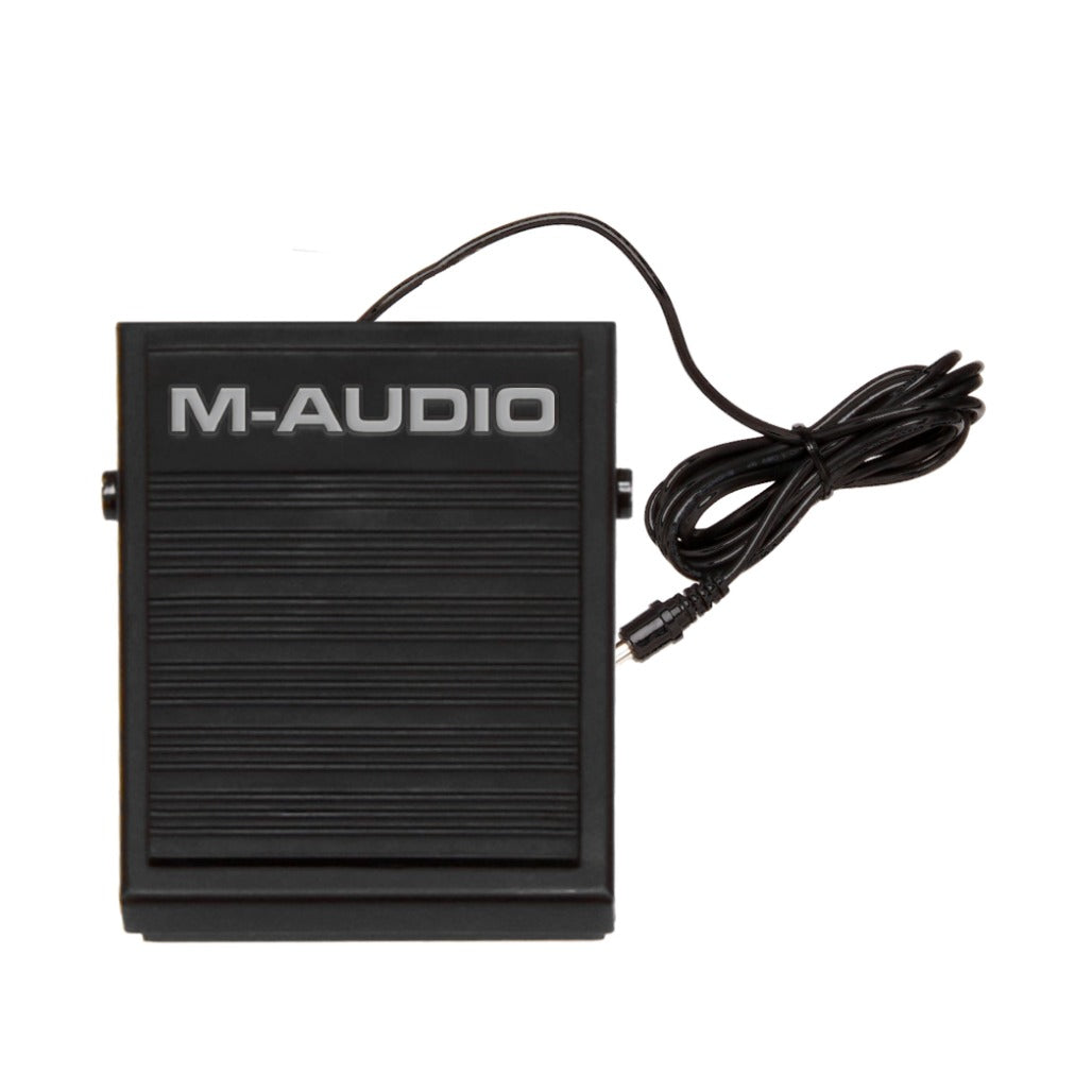 A Photo Of M-Audio SP-1 Sustain Pedal