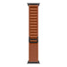 A Small Photo Of Apple Watch 49mm Alpine Loop Band's Color Variant