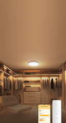 A Photo Of Xiaomi Smart Ceiling Light D20
