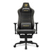 A Small Photo Of Cougar Armor EVO S Gaming Chair's Color Variant