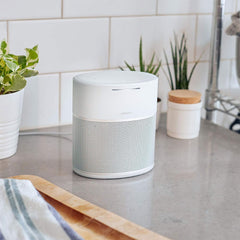 A Photo Of Bose Home Speaker 300 - Smart Bluetooth Speaker - Luxe Silver
