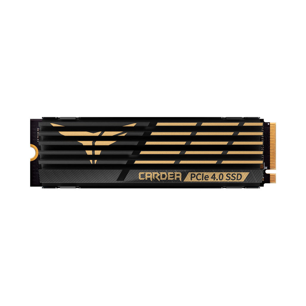 A Photo Of Team Cardea A440 2TB - M.2 PCIe SSD With Heatsink - 3 Years Warranty