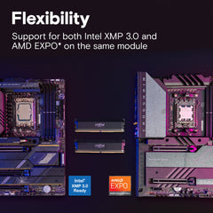 A Photo Of Crucial Pro DDR5-6000 32GB (16GBx2) UDIMM