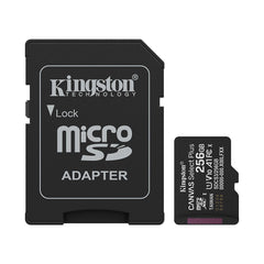 A Photo Of Kingstone Canvas Select Plus 256GB microSD Memory Card