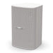 A Small Photo Of BOSE DesignMax DM6SE Surface-Mount Outdoor Loudspeakers (Pair)– 125W Commercial Audio's Color Variant