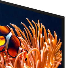 A Photo Of Samsung DU8000 4K UHD Smart TV