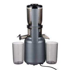 A Photo Of Green Lion Slow Juicer Pure Copper Motor - GNSLJUCRBK
