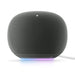 A Small Photo Of Google Home Speaker with Gemini AI Voice Assistant's Color Variant