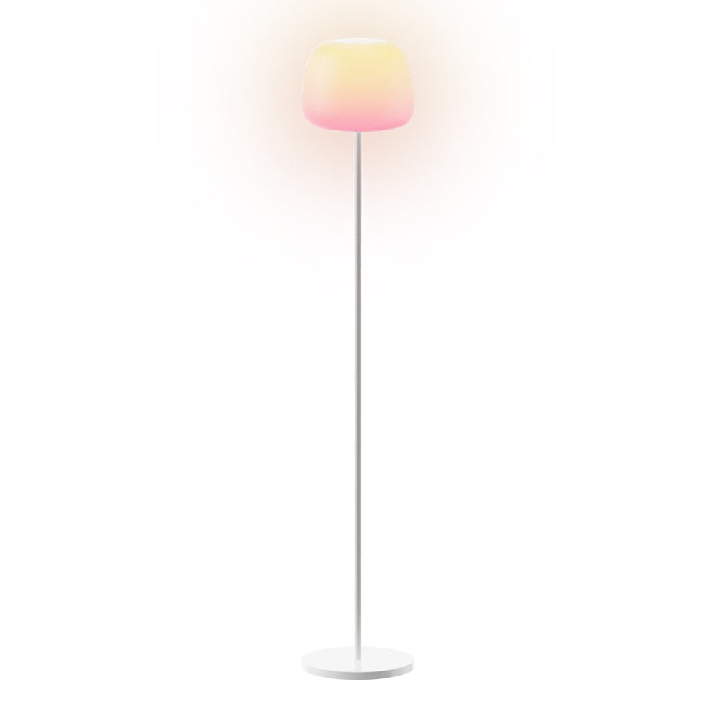 A Photo Of Govee Lantern Floor Lamp S - RGBICWW Smart Lamp – R1630