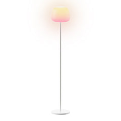 A Photo Of Govee Lantern Floor Lamp S - RGBICWW Smart Lamp – R1630