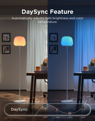 A Photo Of Govee Lantern Floor Lamp S - RGBICWW Smart Lamp – R1630