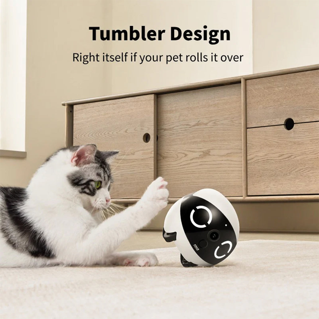 A Photo Of ROLA Mini Companion Robot