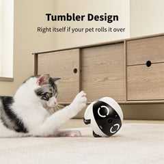 A Photo Of ROLA Mini Companion Robot