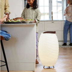 A Photo Of Kooduu Synergy 65 - Portable LED Lamp with Bluetooth Speaker & Wine Cooler