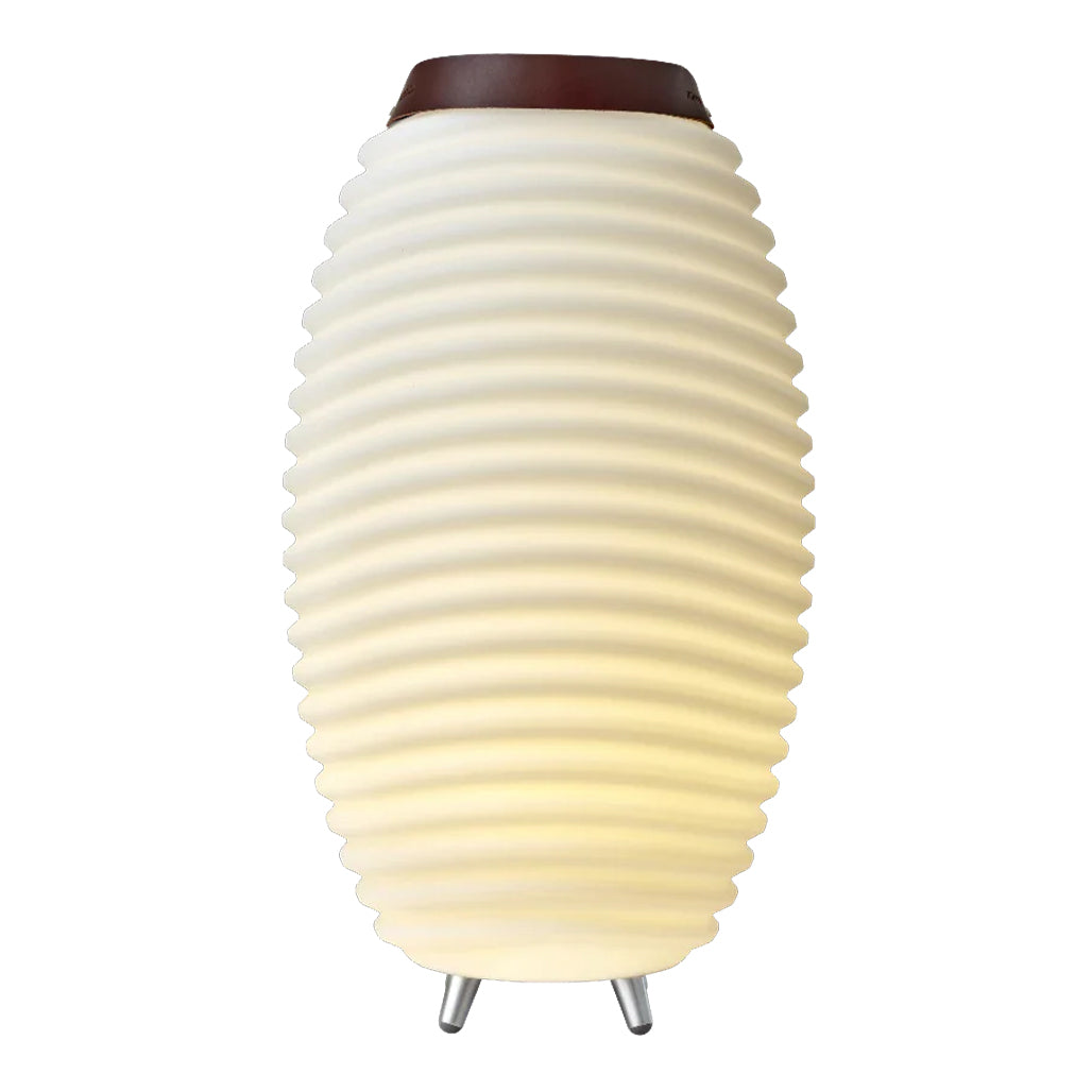 A Photo Of Kooduu Synergy 65 - Portable LED Lamp with Bluetooth Speaker & Wine Cooler