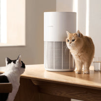 Xiaomi Smart Pet Care Air Purifier