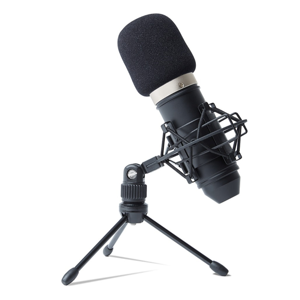 A Photo Of Marantz MPM-1000 - Condenser Microphone