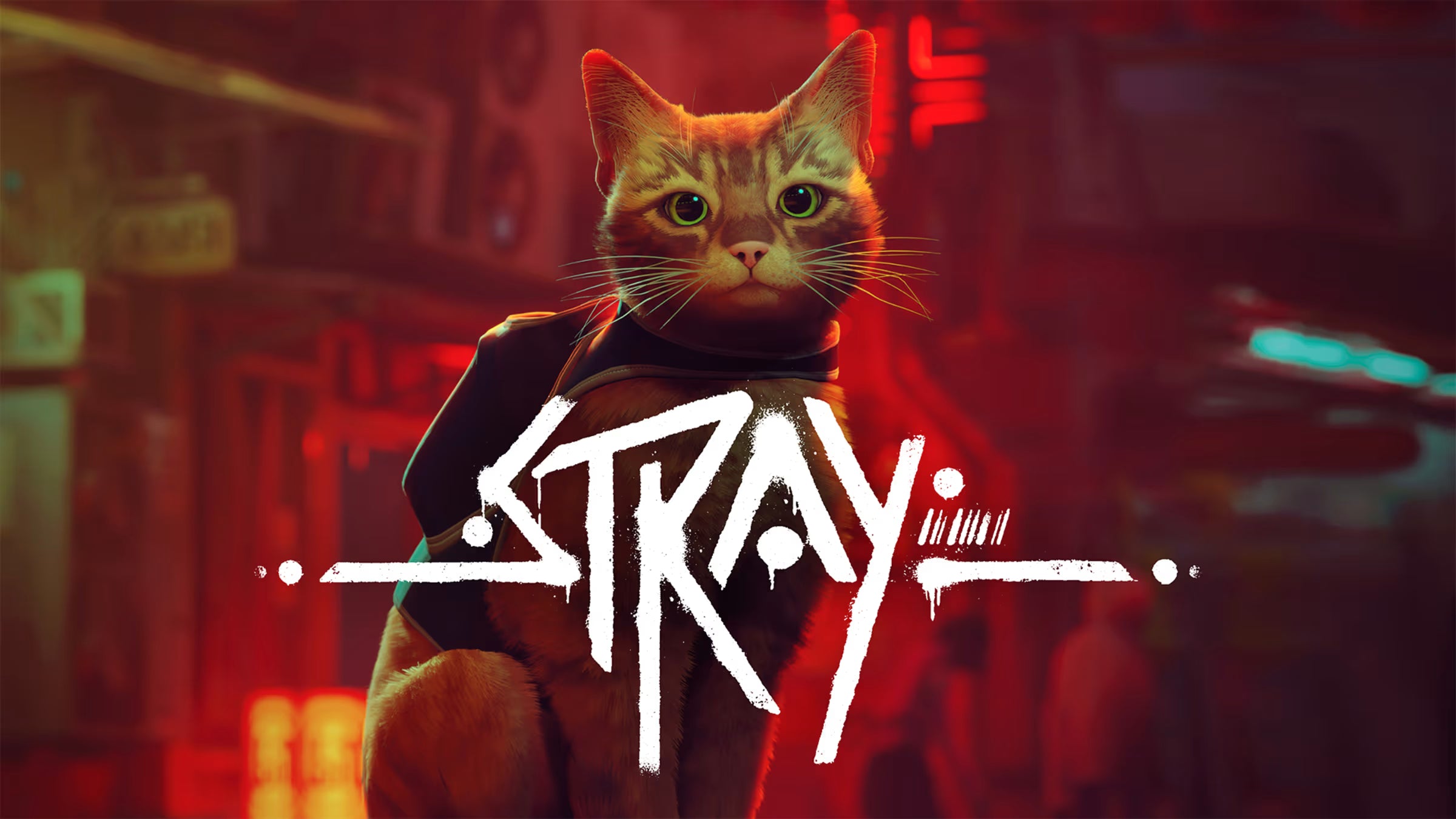 A Photo Of Stray for Nintendo Switch
