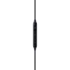 A Photo Of Samsung USB Type-C Earphones - Black | EO-IC100