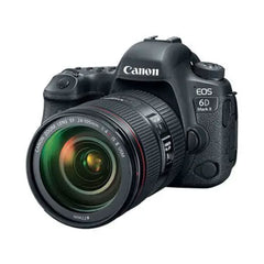A Photo Of Canon EOS 6D Mark II - DSLR Camera with 24-105mm f/4L II Lens