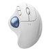 A Small Photo Of Logitech ERGO M575S - Wireless Ergonomic Mouse's Color Variant