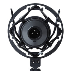 A Photo Of Marantz MPM-1000 - Condenser Microphone